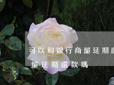 可以和銀行商量延期還款嗎-可以和銀行商量延期還款嗎