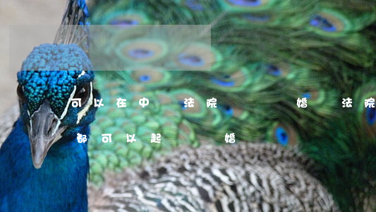 可以在中國法院訴訟離婚嗎(法院是不是哪里都可以起訴離婚)