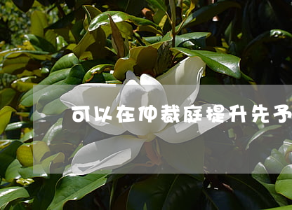 可以在仲裁庭提升先予執(zhí)行嗎