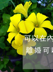 可以在內(nèi)地訴訟離婚嗎(異地起訴離婚可以嗎女方可不可以不用出庭)