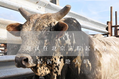可以在北京法院起诉外地人吗(在外地法院可以起诉本地人吗)