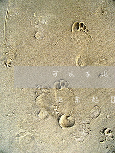 可以在北京起訴外地人嗎(外地的案子可以在北京起訴么)