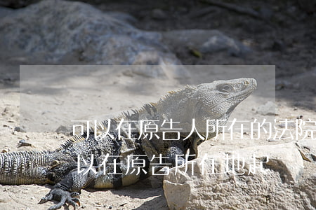 可以在原告人所在的法院起訴嗎(民事案件可以在原告所在地起訴嗎)