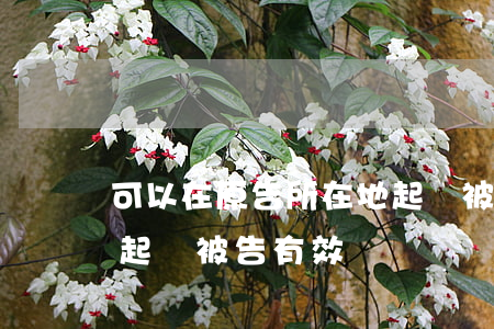 可以在原告所在地起訴被告嗎(在原告所在地起訴被告有效嗎)