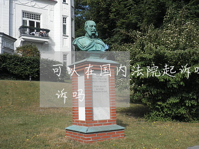 可以在国内法院起诉吗(法院起诉可以网上起诉吗)