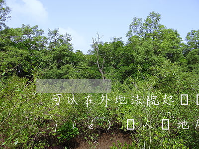 可以在外地法院起訴銀行嗎(起訴可以凍結(jié)別人異地所有銀行賬戶嗎)