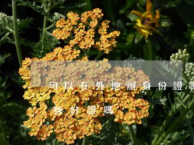 可以在外地辦身份證嗎(外地人可以在外地辦身份證嗎)