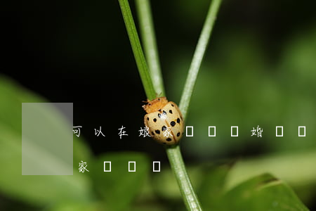 可以在娘家訴訟離婚嗎(離婚能不能在女方娘家這邊離)