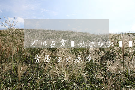 可以在常駐地法院起訴離婚嗎(起訴離婚在哪方居住地法院)