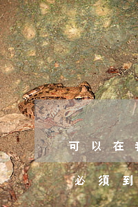 可以在我的戶籍所在地法院起訴嗎(民事訴訟必須到被告戶口所在地法院起訴)