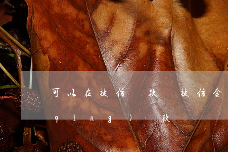 可以在捷信貸款嗎(捷信金融可以直接申請(qǐng)貸款嗎)