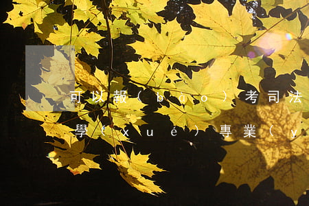 可以報(bào)考司法考試嗎(成人本科法學(xué)專業(yè)可以報(bào)考司法考試嗎)