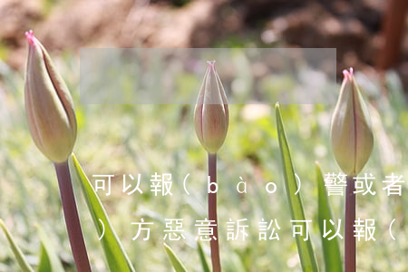 可以報(bào)警或者訴訟嗎(對(duì)方惡意訴訟可以報(bào)警嗎)