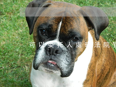 可以委托人處理法院官司嗎(委托別人去法院)