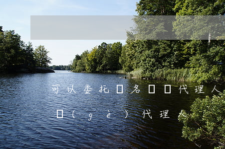 可以委托兩名訴訟代理人嗎(訴訟可以委托幾個(gè)代理人)