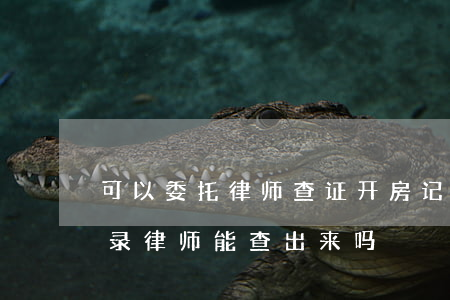 可以委托律师查证开房记录吗(个人开的房记录律师能查出来吗)