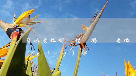 可以委托律師代為起訴嗎(委托別人代為聘請(qǐng)律師)