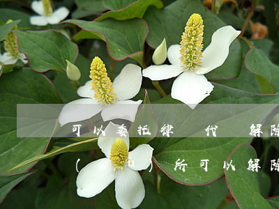 可以委托律師代辦解除勞動合同嗎(律師事務(wù)所可以解除委托協(xié)議的情形)