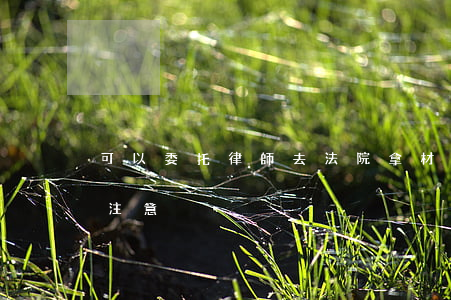 可以委托律師去法院拿材料嗎(委托律師需要注意)