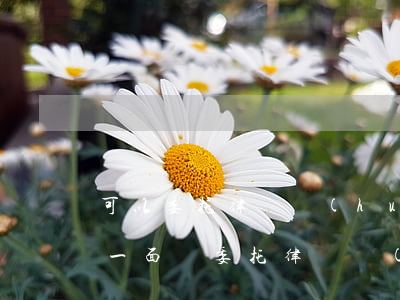 可以委托律師會(huì)見(jiàn)一面嗎(委托律師見(jiàn)一面多少錢)