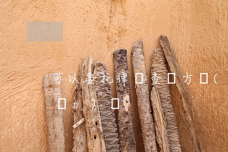 可以委托律師查對方財(cái)產(chǎn)嗎