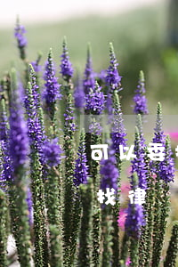 可以委托律師調(diào)查出軌老公嗎(找律師可以查對方出軌證據(jù)嗎)