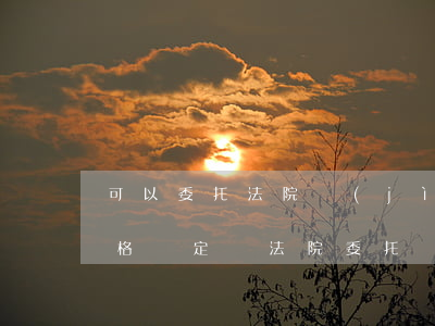 可以委托法院進(jìn)行價(jià)格鑒定嗎(法院委托鑒定機(jī)構(gòu)鑒定費(fèi))
