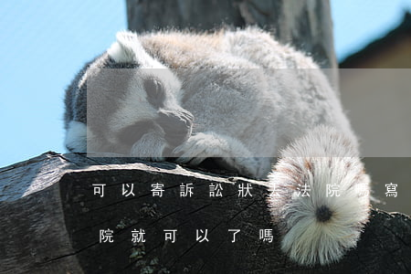 可以寄訴訟狀去法院嗎(寫好起訴狀直接去法院就可以了嗎)