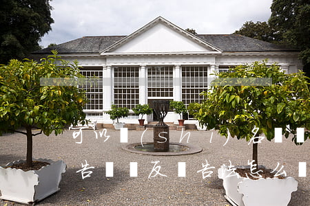 可以實(shí)名舉報(bào)違法廣告嗎(違反廣告法怎么舉報(bào)有什么獎(jiǎng)勵(lì))