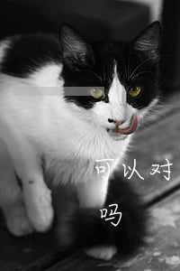 可以对未成年人诉讼吗(未成年可以民事诉讼吗)