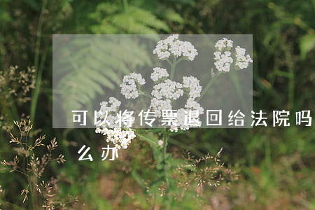 可以将传票退回给法院吗(传票退回法院了,怎么办)