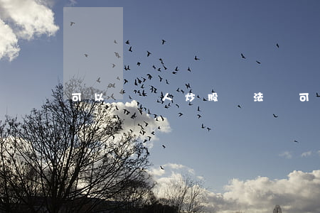 可以幫別人炒股違法嗎(可以幫別人炒股違法嗎)