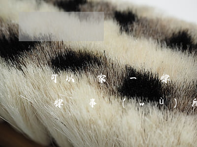 可以幾家請一個律師嗎(一個律師可以在幾個律師事務(wù)所)