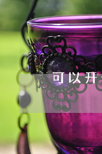 可以开什么公司
