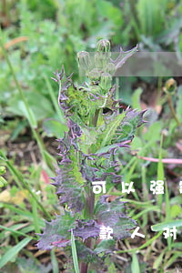 可以强制告欠款人去法院吗(法院强制执行欠款人对他有什么影响)