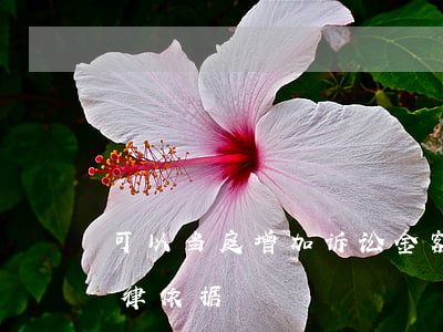 可以当庭增加诉讼金额吗(当庭追加被告的法律依据)