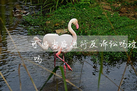 可以当庭进行反诉讼吗(被告人可以当庭反告吗)