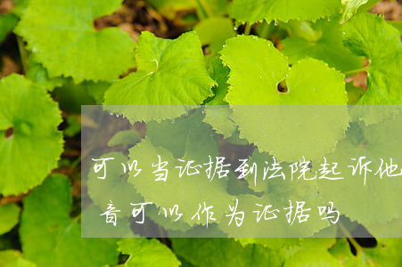 可以当证据到法院起诉他吗(法院起诉电话录音可以作为证据吗)