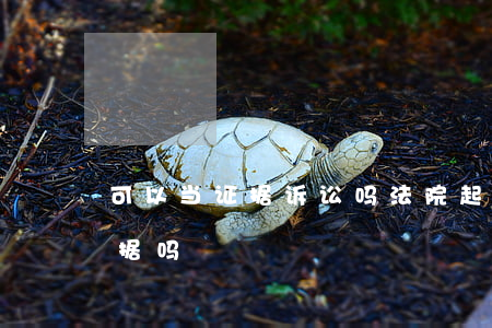可以当证据诉讼吗(法院起诉录音可以作为证据吗)
