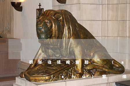 可以往法院寄起訴書(shū)嗎(如何把起訴書(shū)寄給法院)