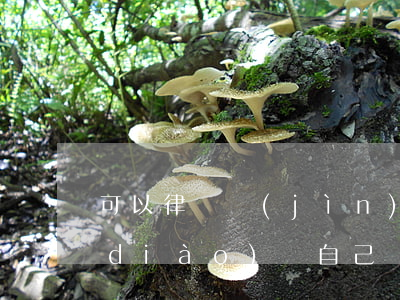 可以律師進(jìn)行協(xié)調(diào)嗎(自己協(xié)商還是找律師協(xié)商)