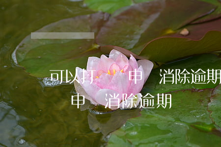 可以打電話申請消除逾期記錄嗎-可以打電話申請消除逾期記錄嗎