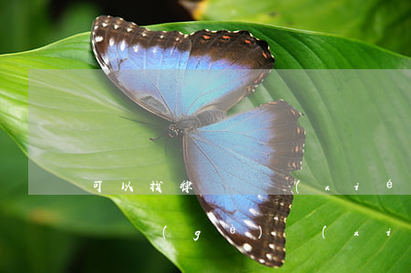 可以找律師寫協(xié)議嗎(一般找律師寫個(gè)協(xié)議大概多少錢)