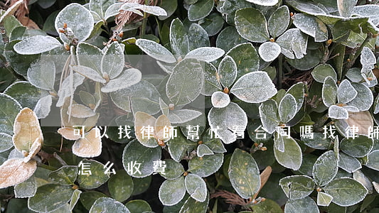 可以找律師幫忙看合同嗎(找律師幫忙看合同怎么收費)