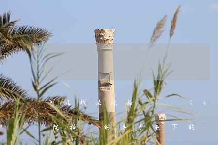 可以找法院拍賣遺產(chǎn)分錢嗎(法院拍賣的房子剩下的錢要怎么拿)