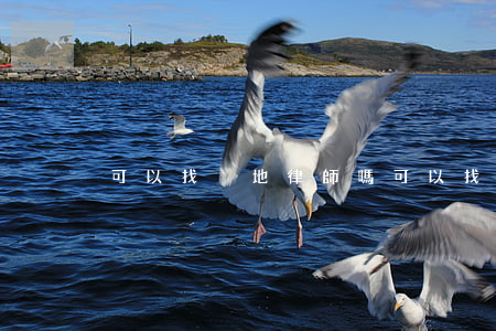 可以找異地律師嗎(可以找異地律師嗎)