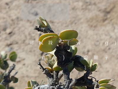 可以找網(wǎng)貸撤銷逾期嗎(網(wǎng)貸逾期平臺(tái)倒閉怎么辦)