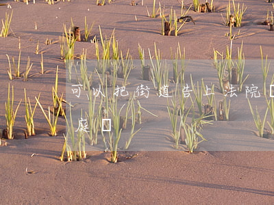 可以把街道告上法院嗎(可以把派出所告上法庭嗎?)