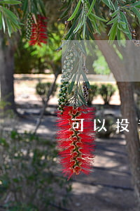 可以投诉京东平台吗（可以起诉京东平台吗）