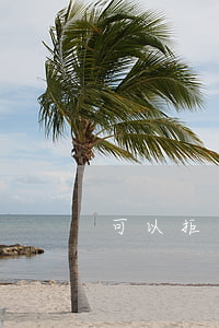 可以拒絕到法院旁聽嗎(怎么能去法院旁聽)